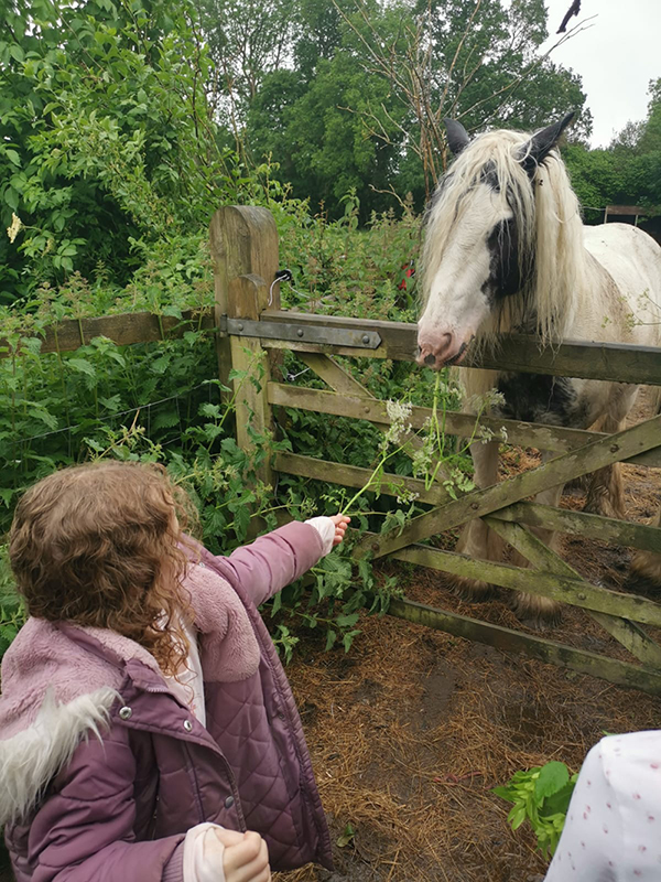 farm club girl with pony